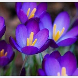 Meet your Posher, Modell Group